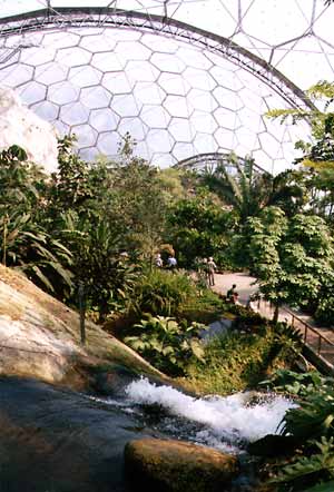 The Eden Project: interior view of the tropical biome