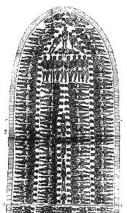 Cross-section of the slave ship Brookes: from an abolitionist pamphlet circulated in the late eighteenth century